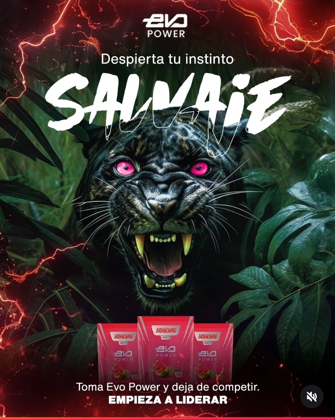 Energia Natural - Enfoque Mental
